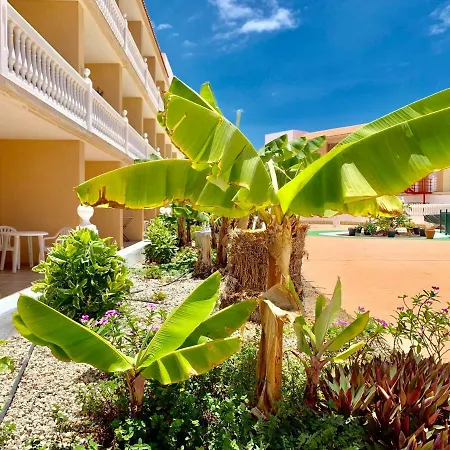 شقة Ocean Front With Pool *